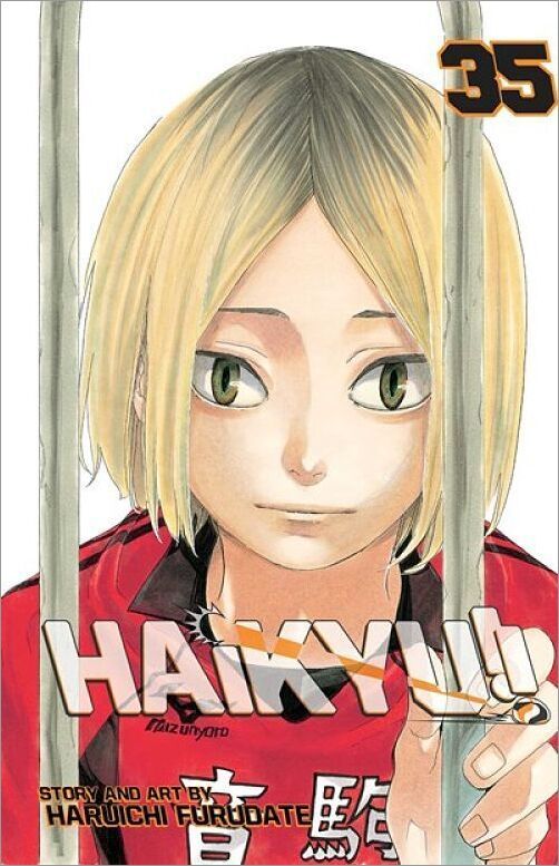 Haikyu!!, Vol. 35 (Paperback)